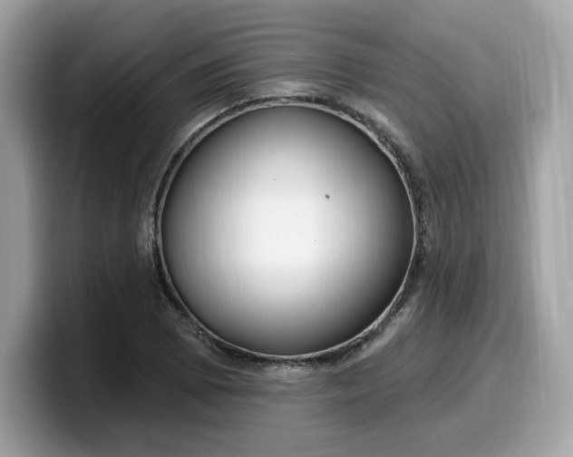 X0000099581073200805301555