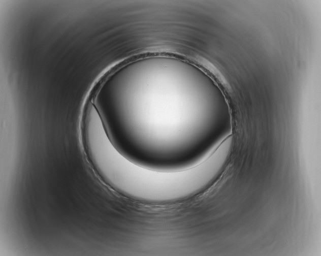 X0000099581076200805301555