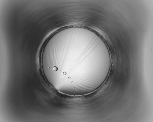 X0000099581078200805301555