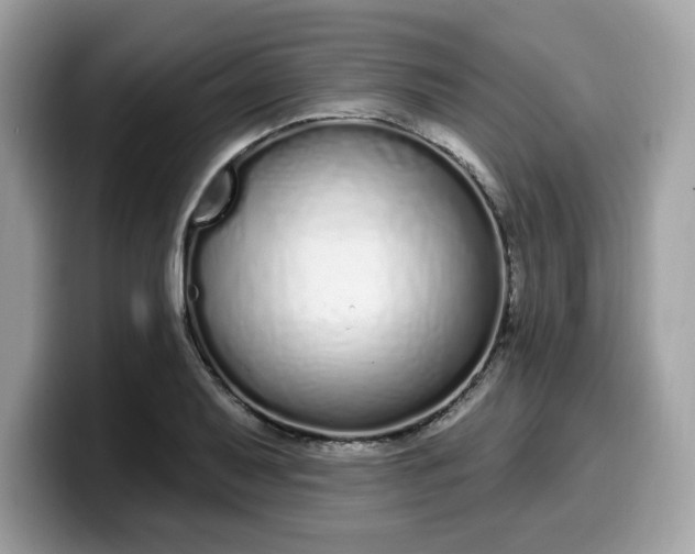 X0000099581079200805301555