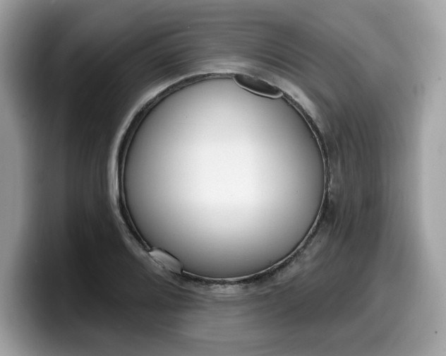 X0000099581080200805301555