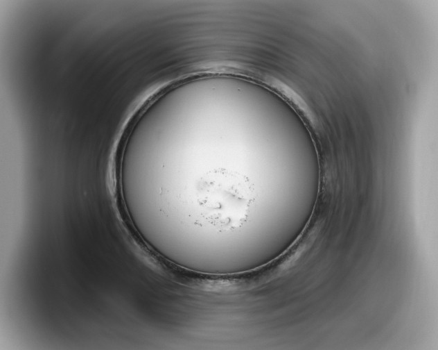 X0000099581082200805301555