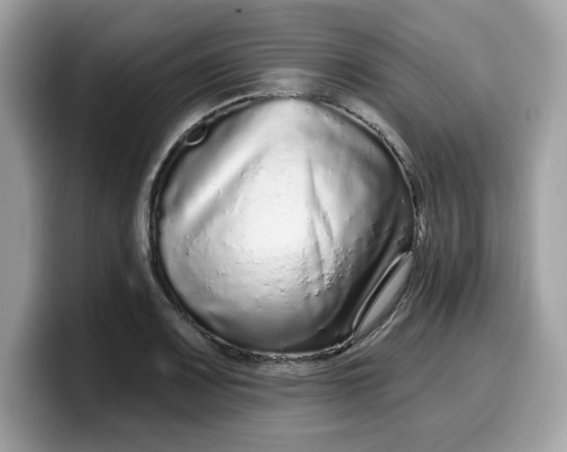 X0000099581083200805301555