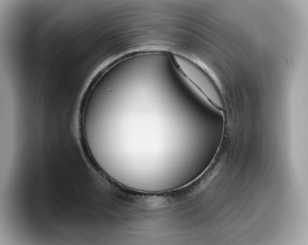 X0000099581085200805301555