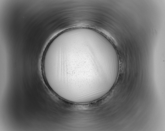 X0000099581086200805301555