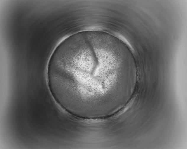 X0000099581087200805301555