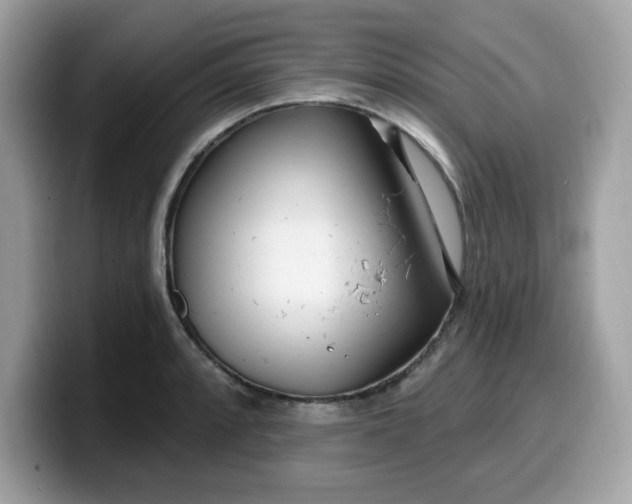 X0000099581088200805301555