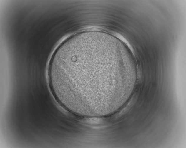 X0000099581090200805301555