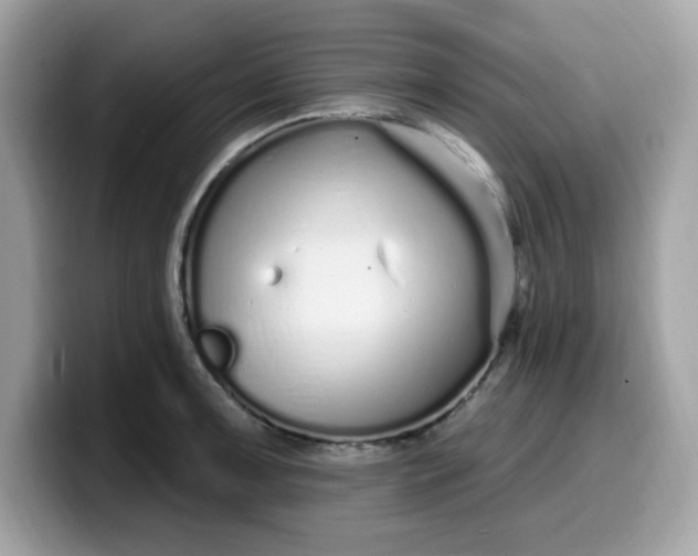 X0000099581091200805301555