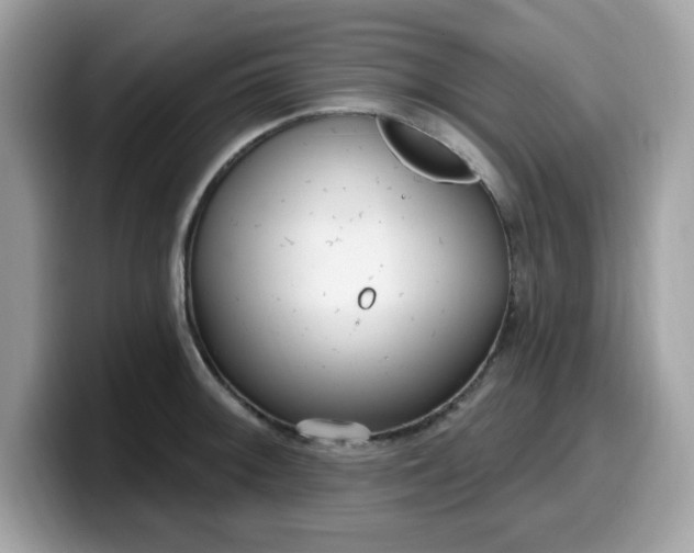 X0000099581092200805301555