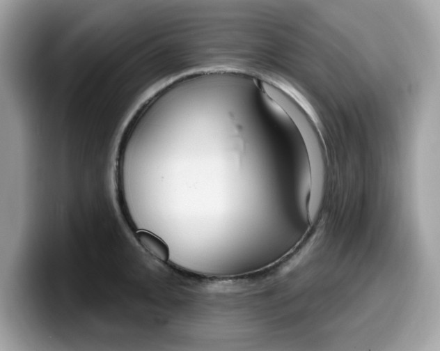 X0000099581093200805301555