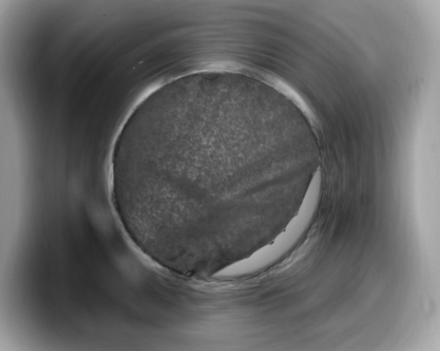 X0000099581095200805301555