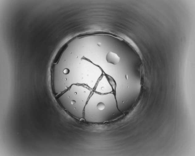 X0000099581096200805301555