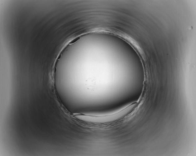 X0000099581097200805301555