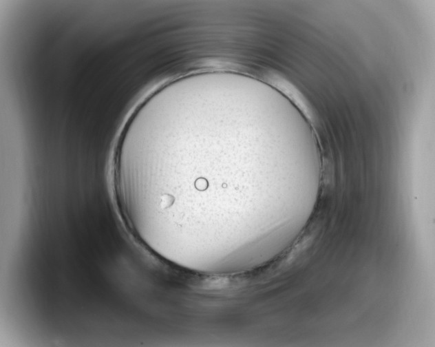 X0000099581098200805301555