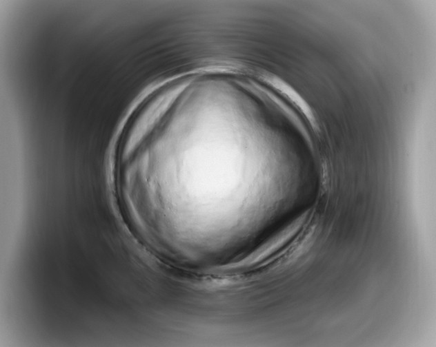 X0000099581099200805301555