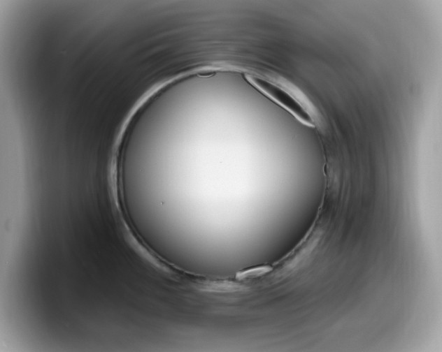 X0000099581100200805301555