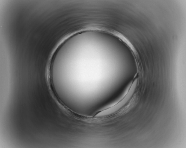 X0000099581101200805301555