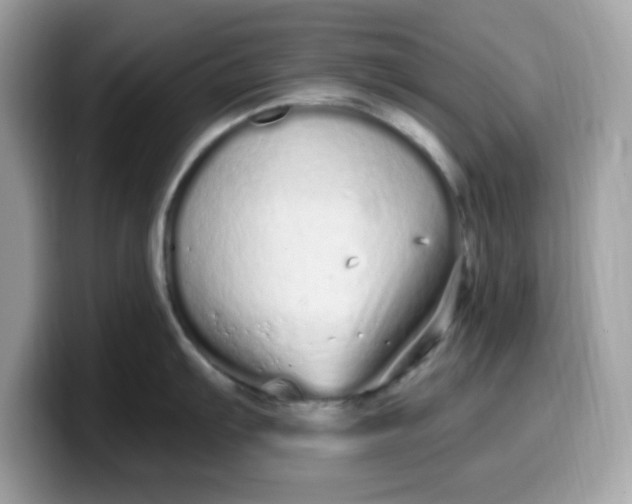 X0000099581103200805301555