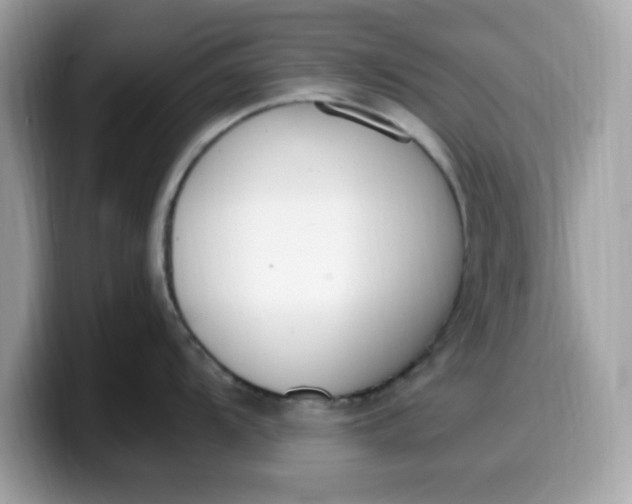 X0000099581104200805301555