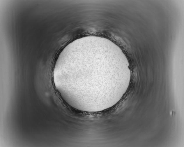 X0000099581105200805301554