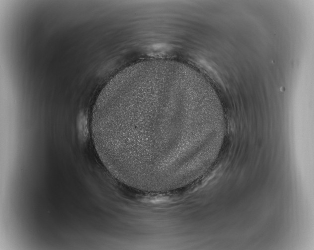 X0000099581106200805301554