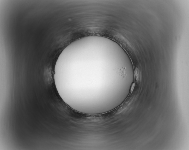 X0000099581107200805301554