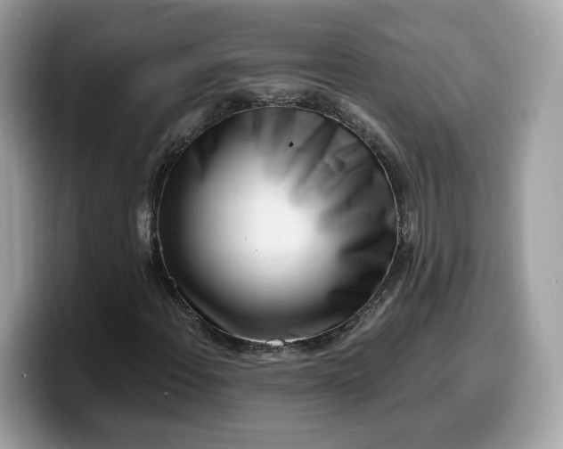 X0000099581108200805301554