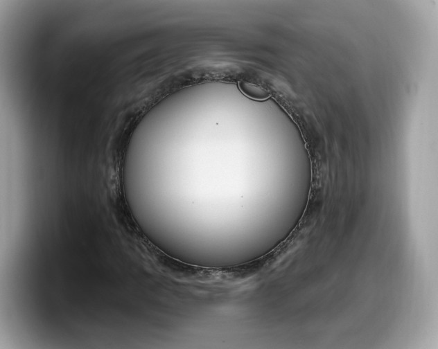 X0000099581109200805301554