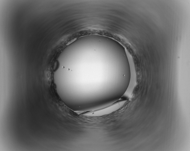 X0000099581110200805301554