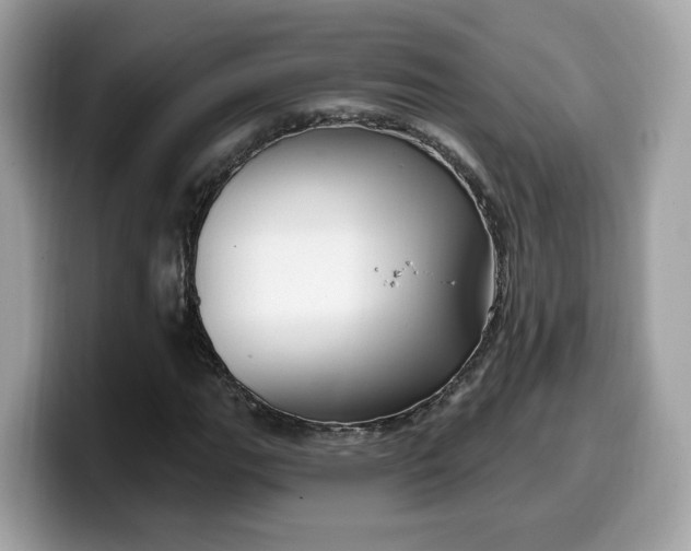 X0000099581111200805301554