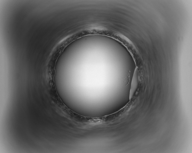 X0000099581112200805301554