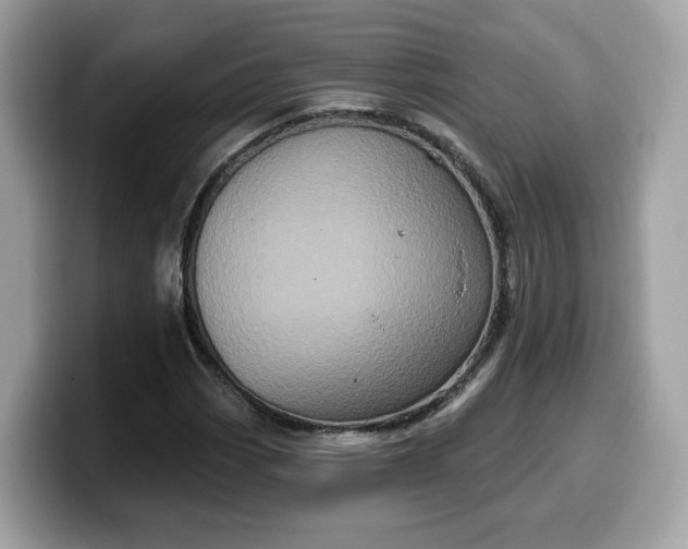 X0000099581113200805301554