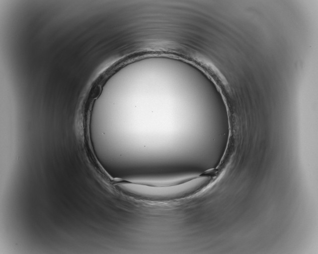 X0000099581114200805301554