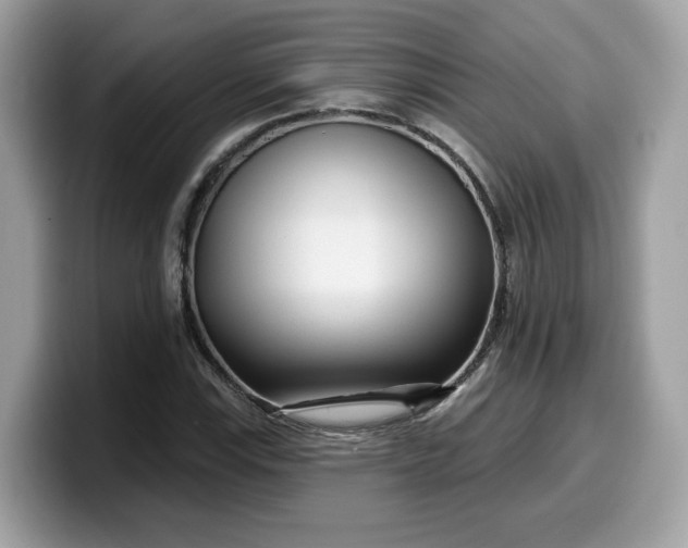 X0000099581115200805301554