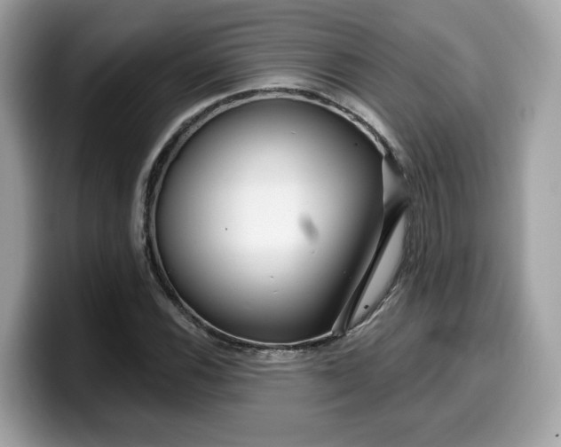 X0000099581116200805301554