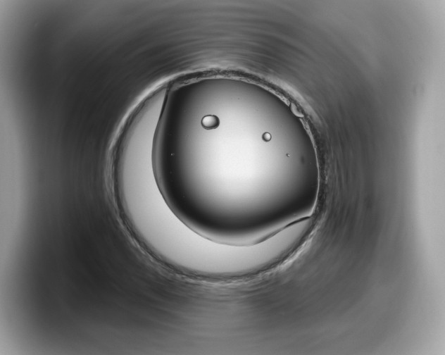 X0000099581118200805301554