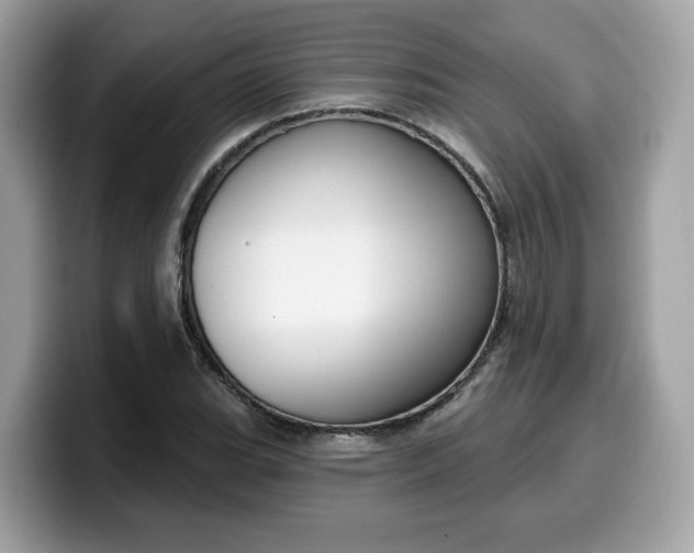 X0000099581119200805301554