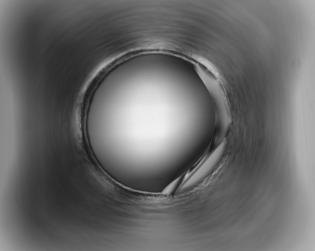 X0000099581120200805301554