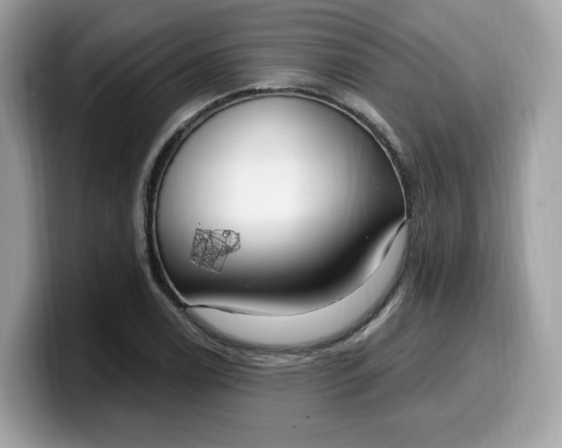 X0000099581122200805301554