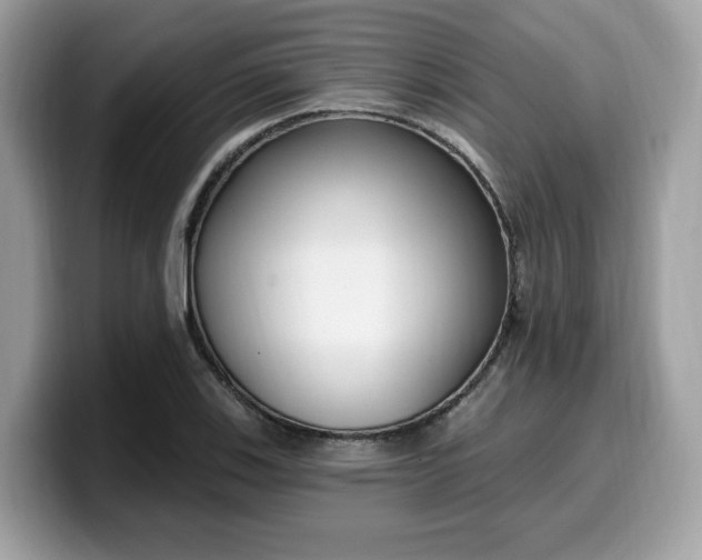 X0000099581123200805301554