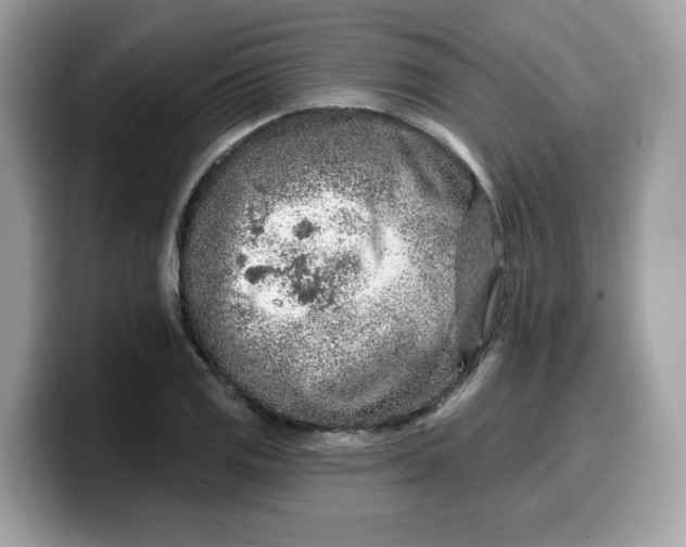 X0000099581125200805301554