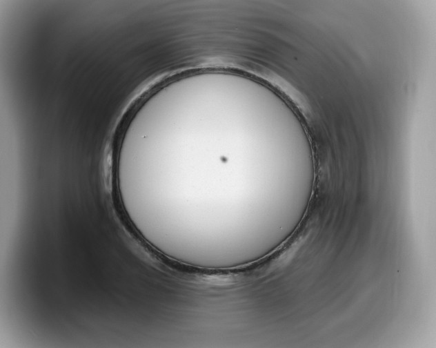 X0000099581126200805301554