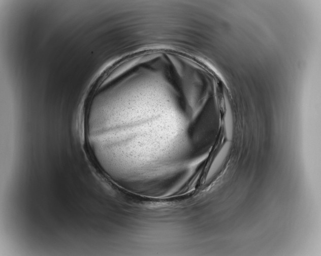 X0000099581127200805301554