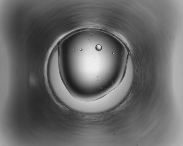 X0000099581128200805301554