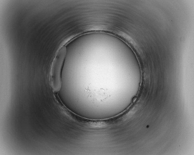 X0000099581129200805301554