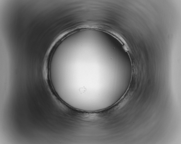 X0000099581131200805301554