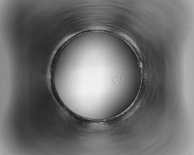 X0000099581133200805301554