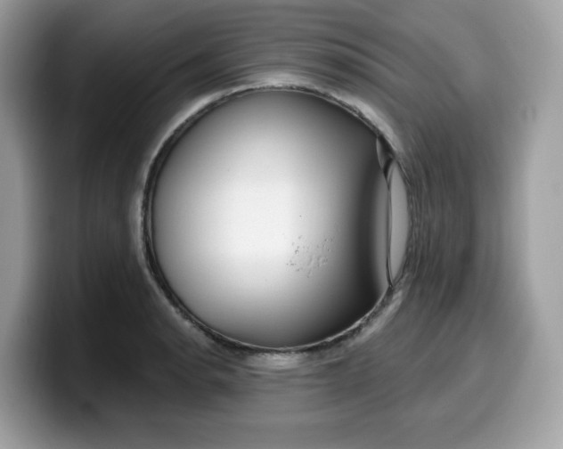 X0000099581134200805301554