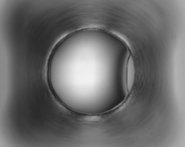 X0000099581135200805301554